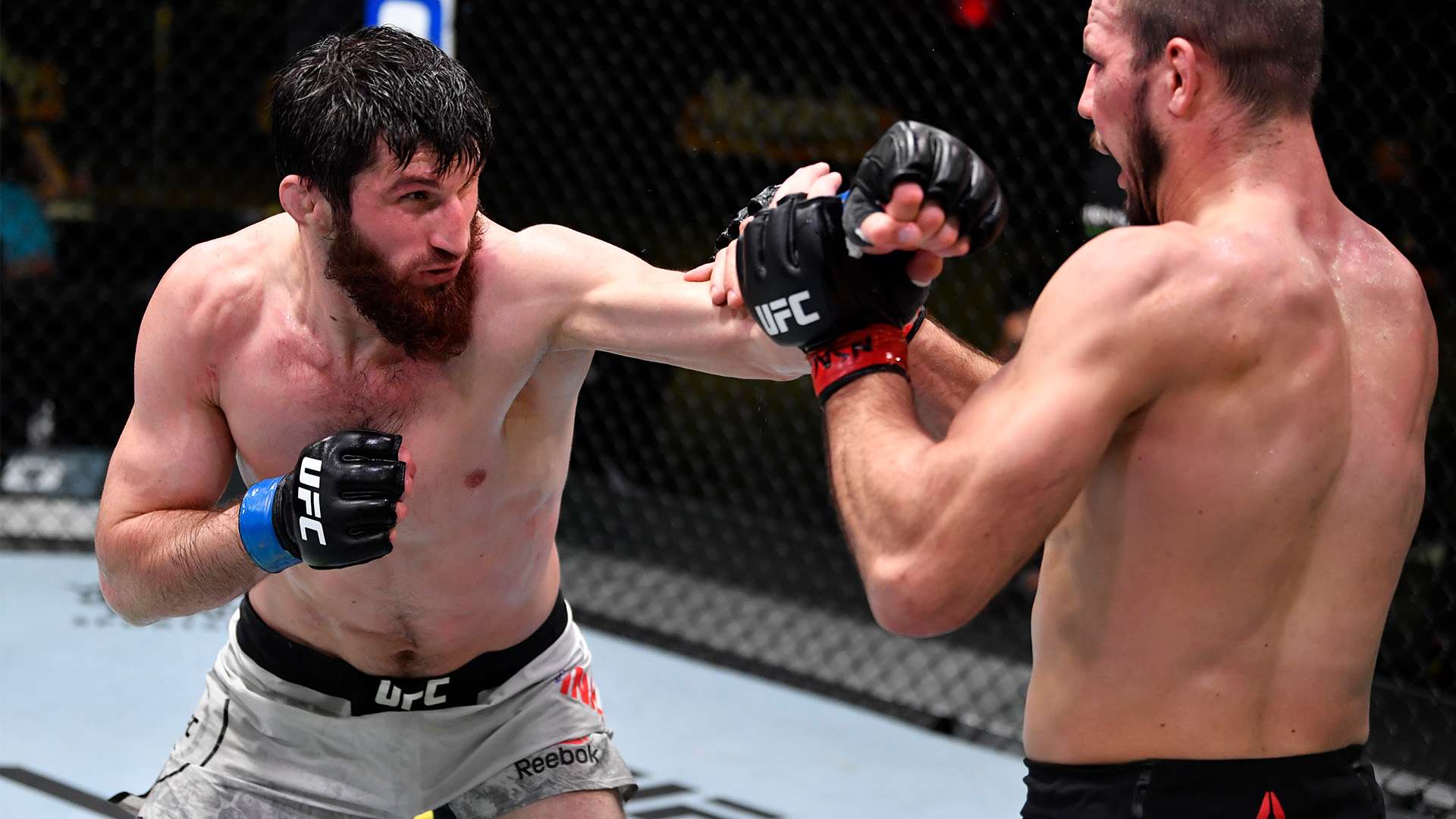 也为后续的 也为后续的